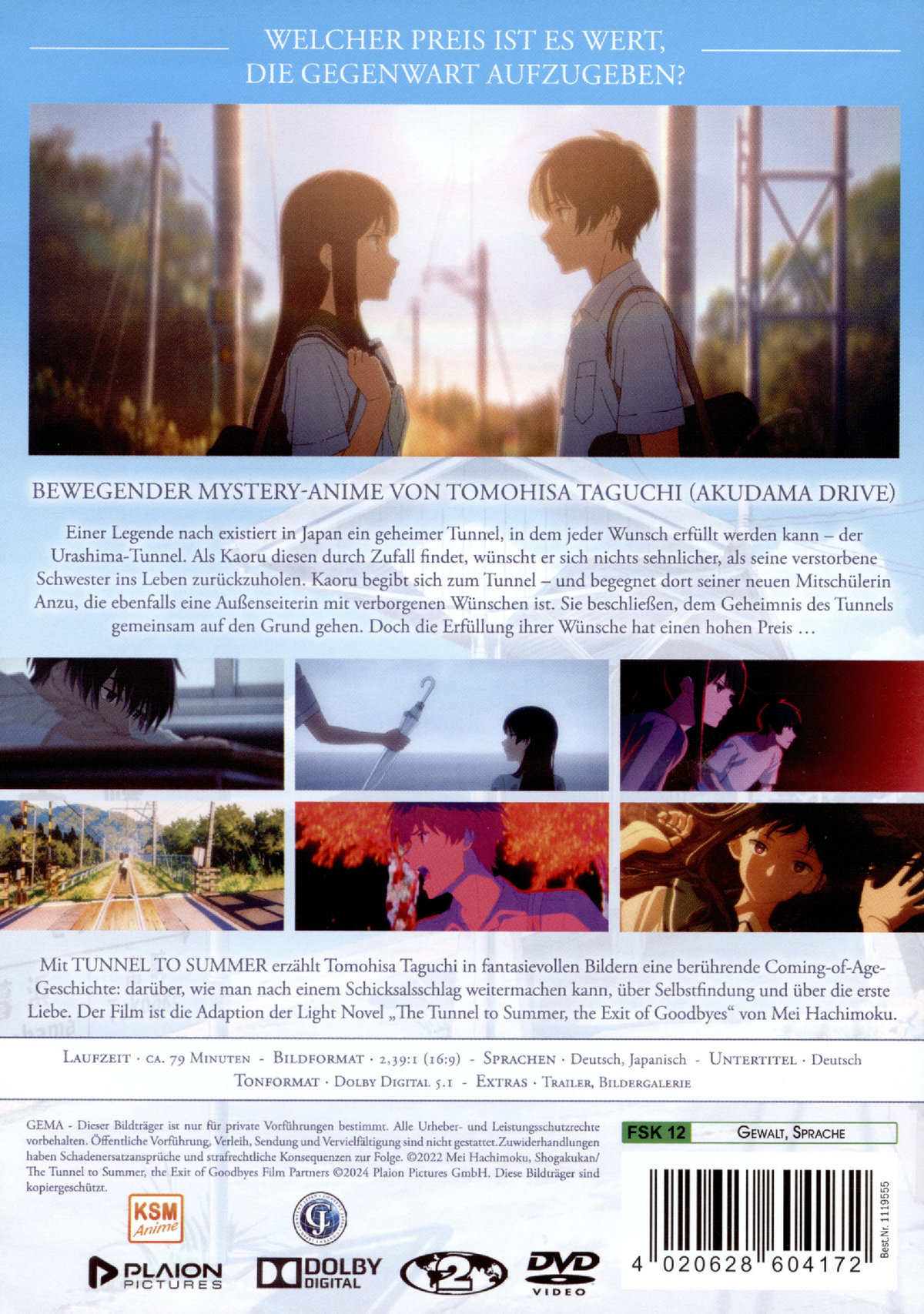 Tunnel to Summer  (DVD)