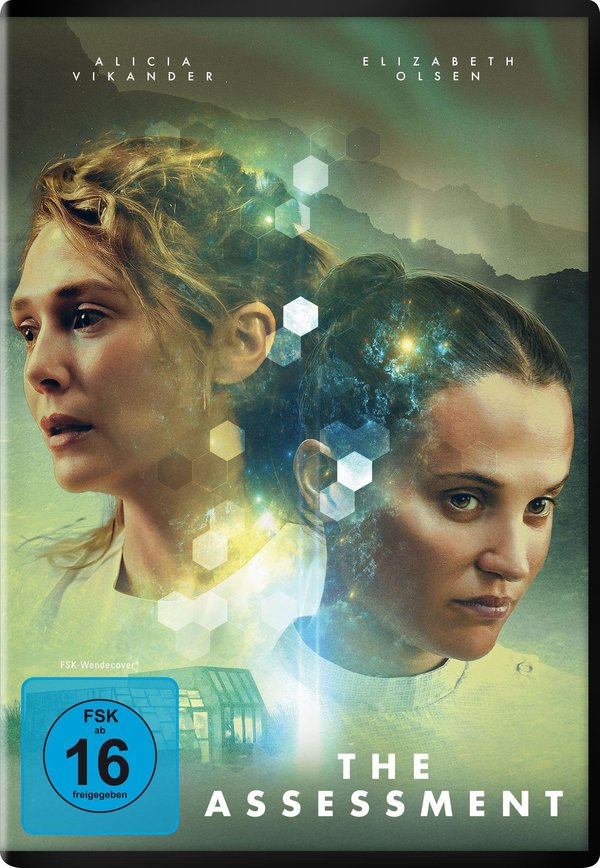 The Assessment (DVD)