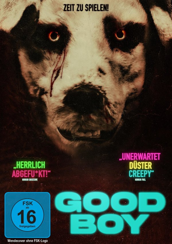 Good Boy  (DVD)