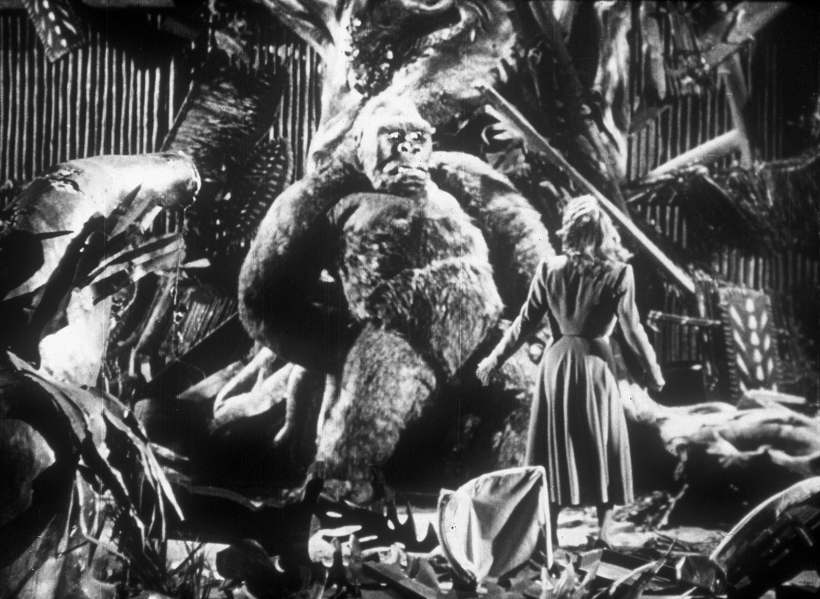 Panik um King Kong (Mighty Joe Young) (Filmjuwelen)  (Blu-ray Disc)