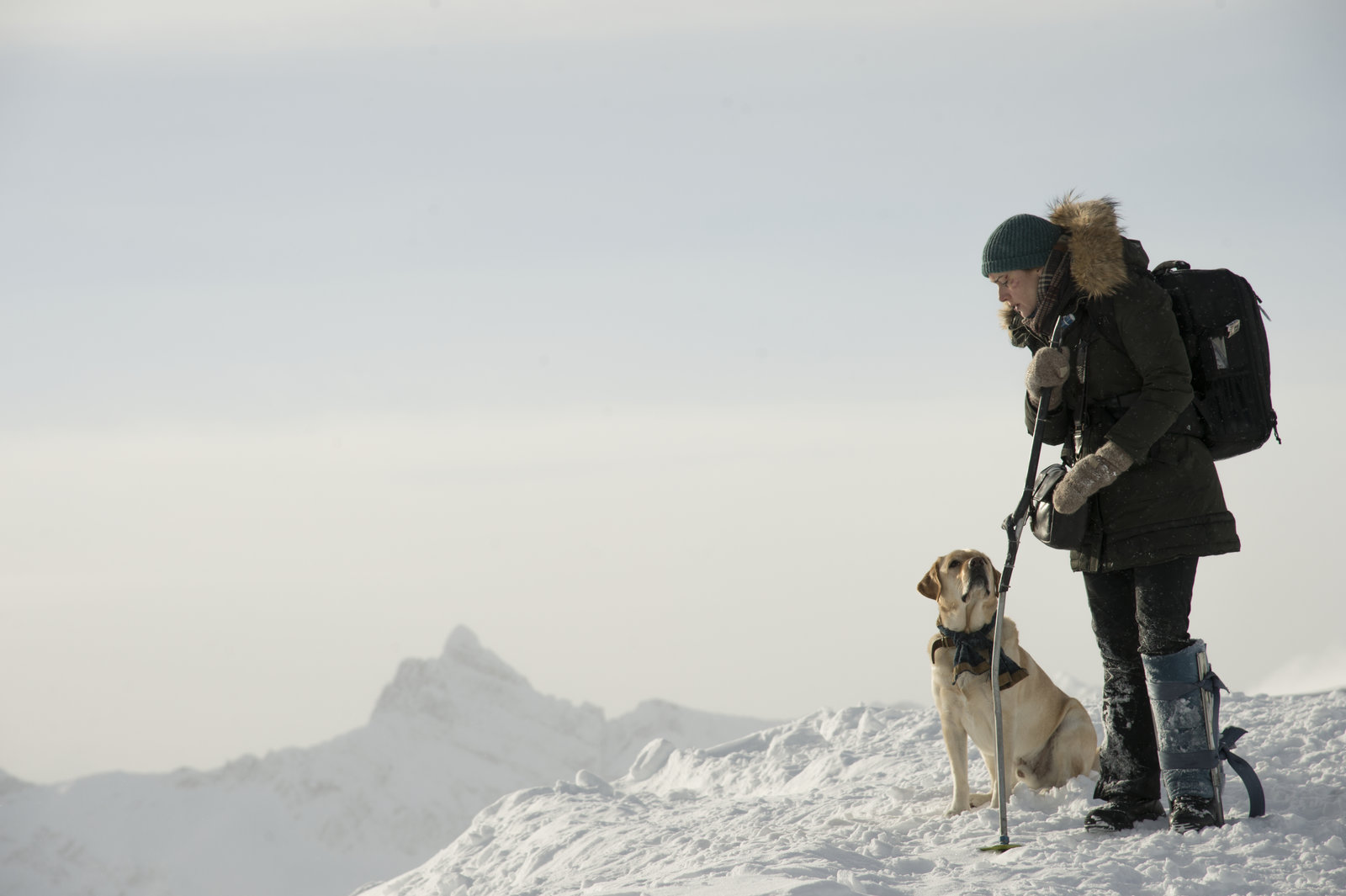 Zwischen zwei Leben - The Mountain Between Us (blu-ray)