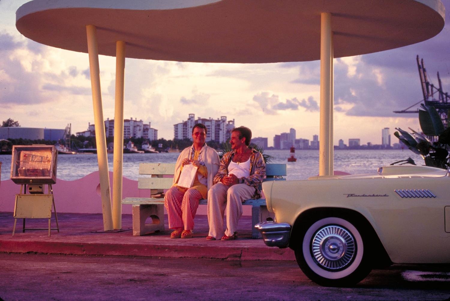 Birdcage, The - Ein Paradies für schrille Vögel (blu-ray)