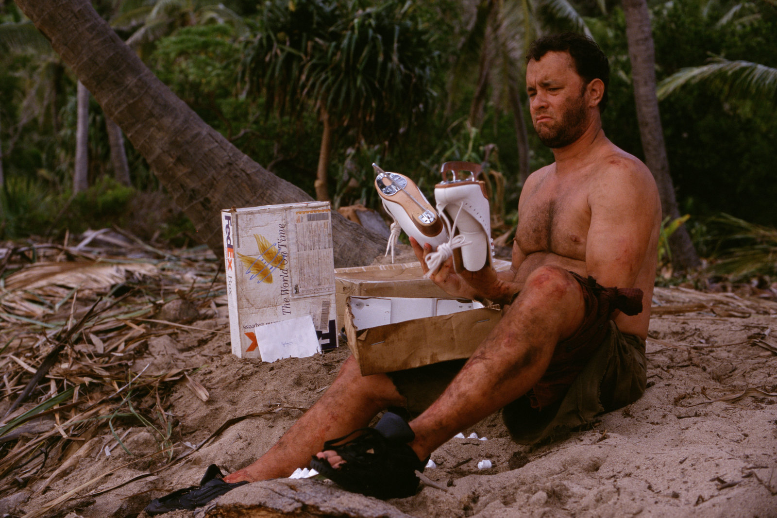 Cast Away - Verschollen  (DVD)