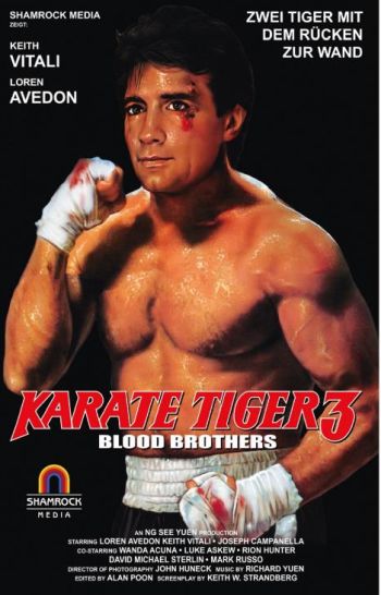 Karate Tiger 3 - Blood Brothers - Uncut Hartbox Edition (DVD+blu-ray) (B)