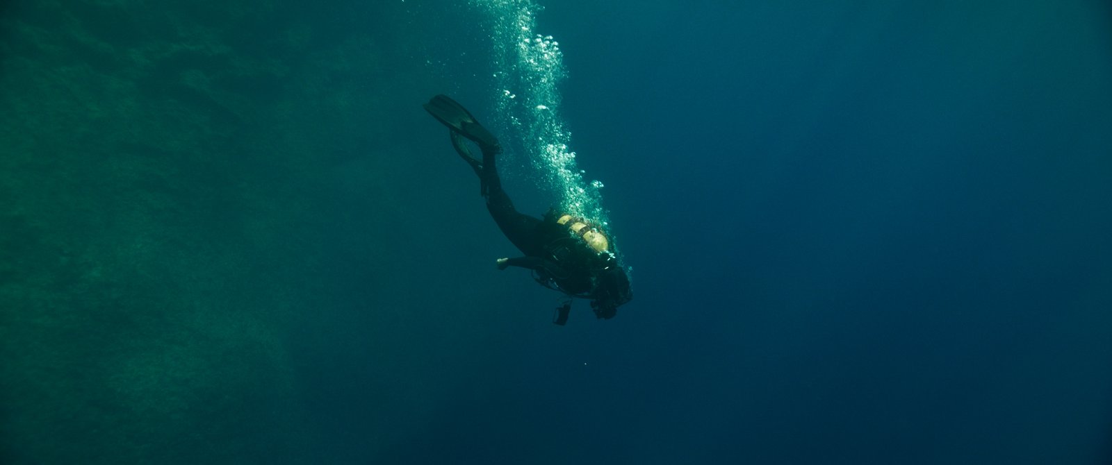 The Dive  (Blu-ray Disc)
