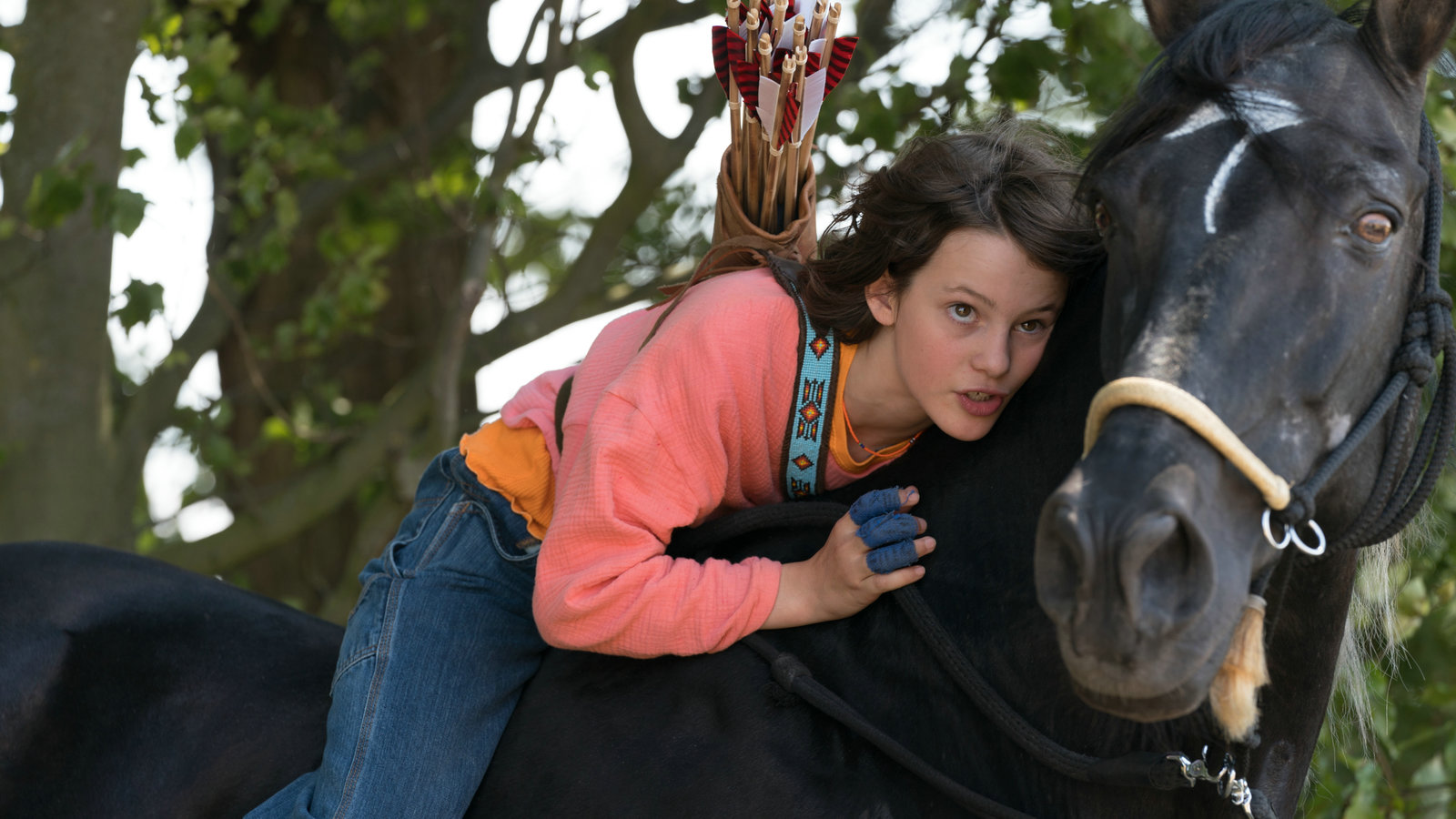 Ostwind - Aris Ankunft  (DVD)