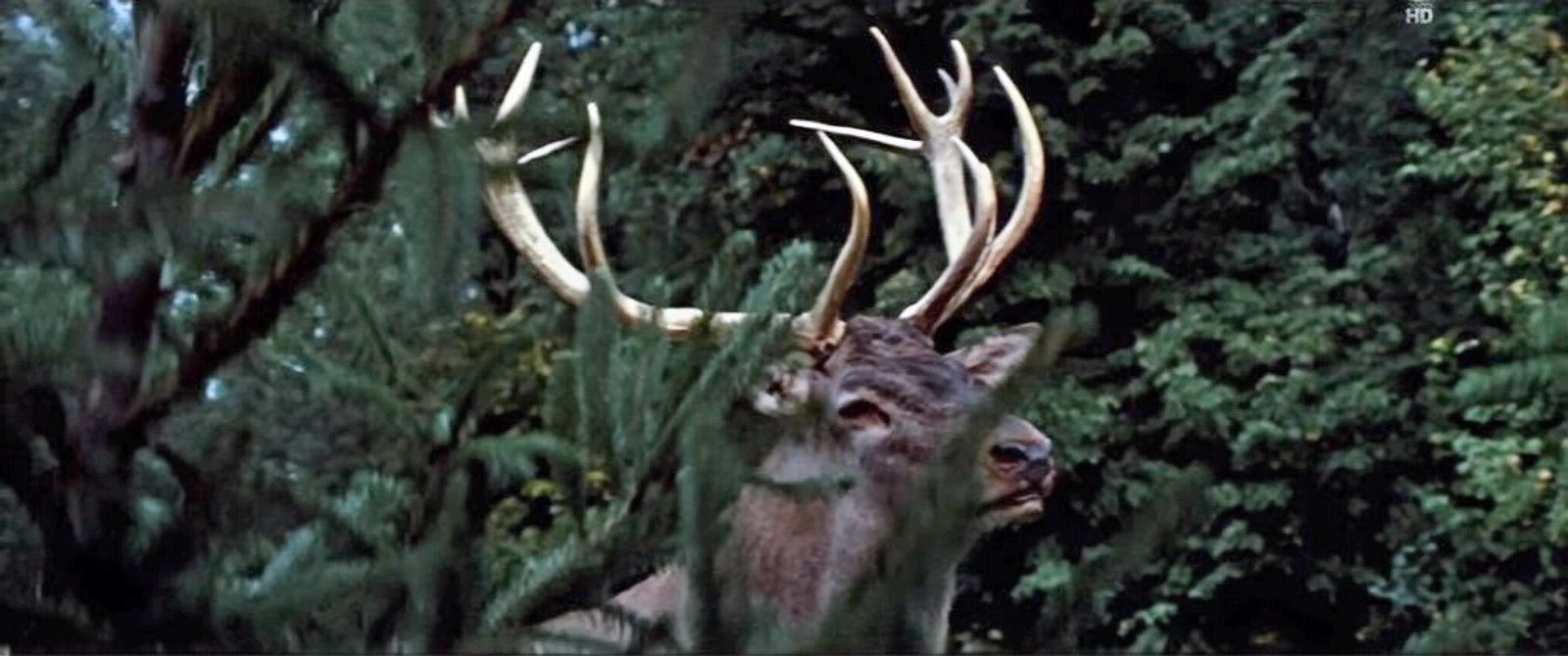 Der Hirsch mit dem goldenen Geweih (1971) (Filmjuwelen / DEFA-Märchen) (Neuauflage) (DVD) Der Hirsch mit dem goldenen Geweih (1971) (Filmjuwelen / DEFA-Märchen) (Neuauflage) (DVD)