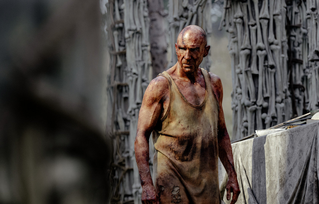 28 Years later  (Blu-ray Disc)