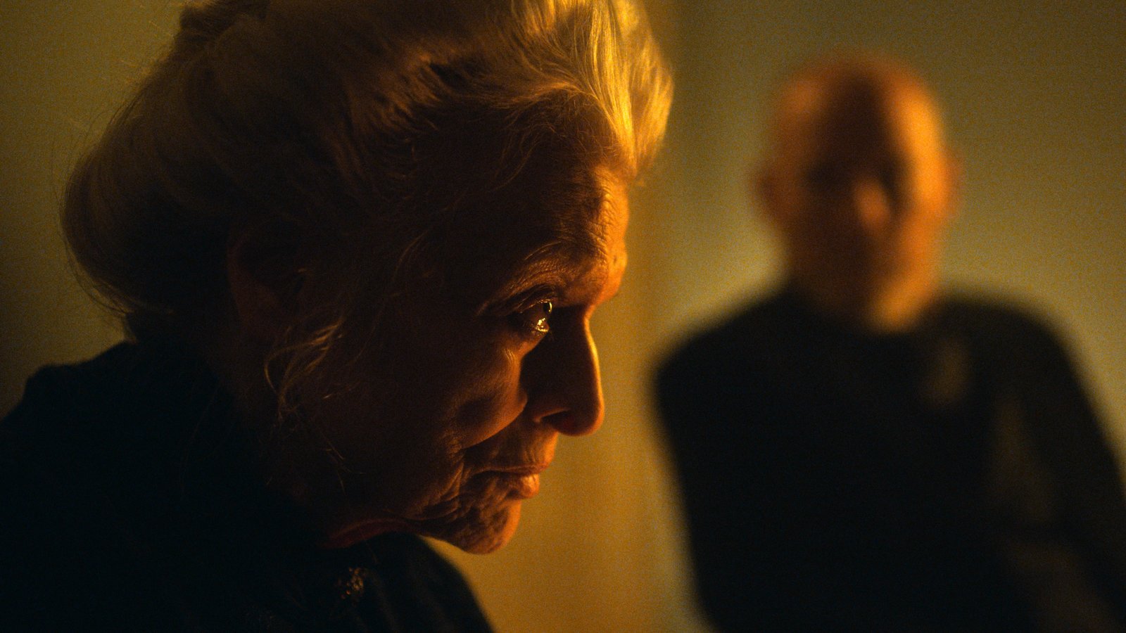 Last Thing Mary Saw, The (blu-ray)