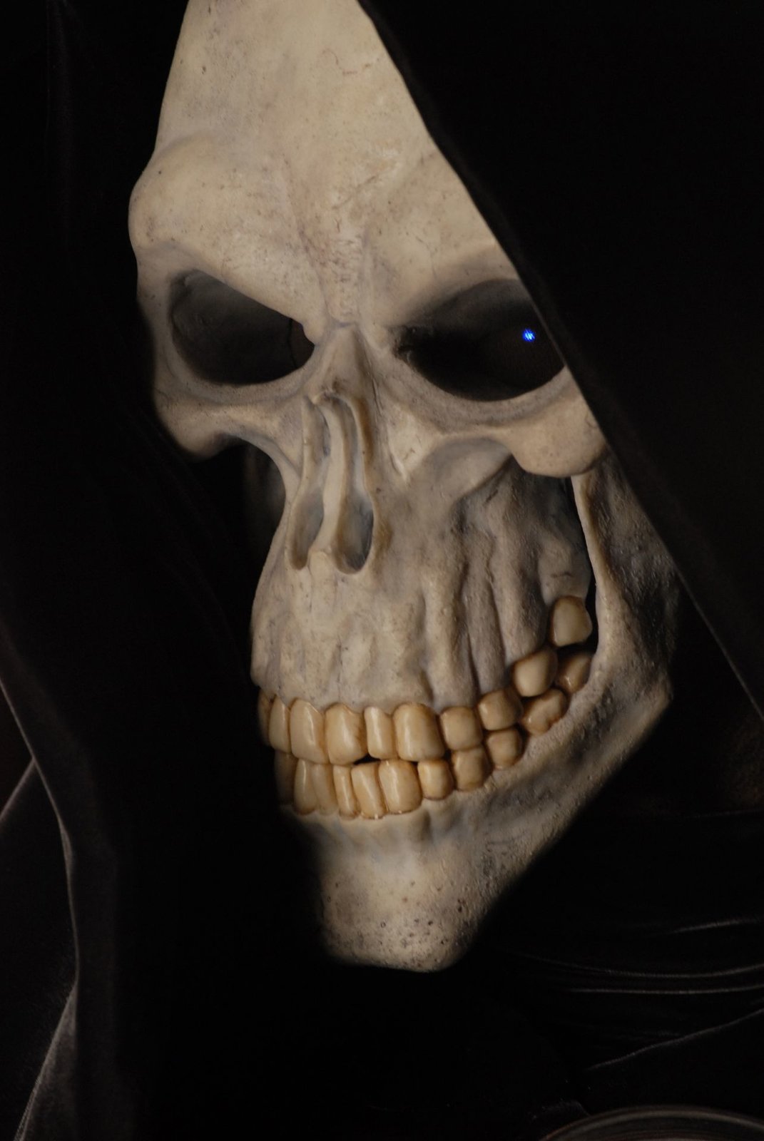 Hogfather - Schaurige Weihnachten  [2 DVDs]  (DVD)