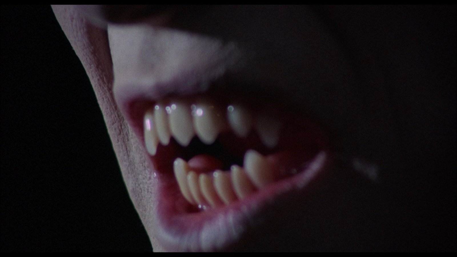 Junges Blut für Dracula - Uncut Edition (blu-ray)