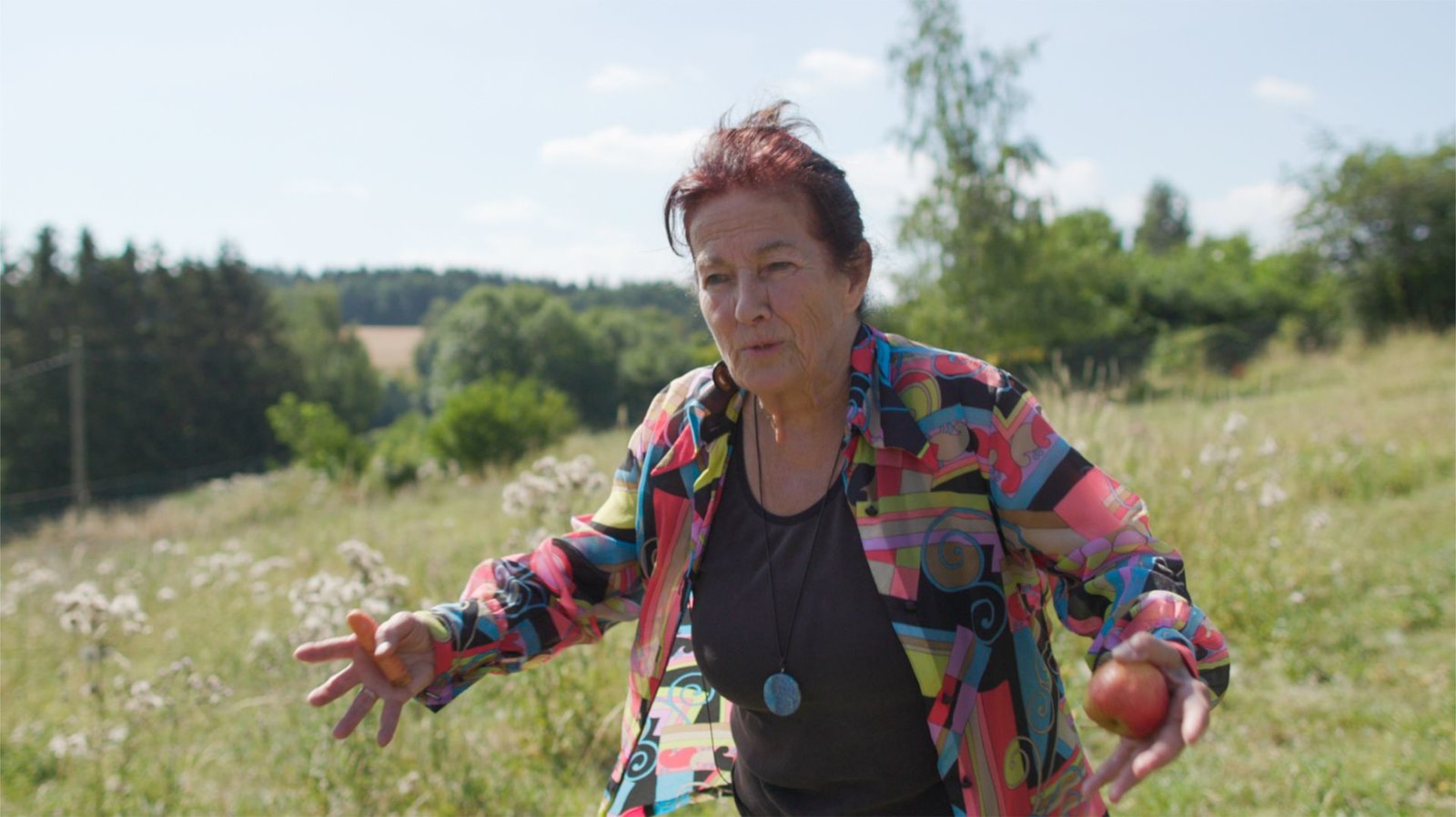 Go Clara Go: die Kunst des kreativen Widerstands  (DVD)