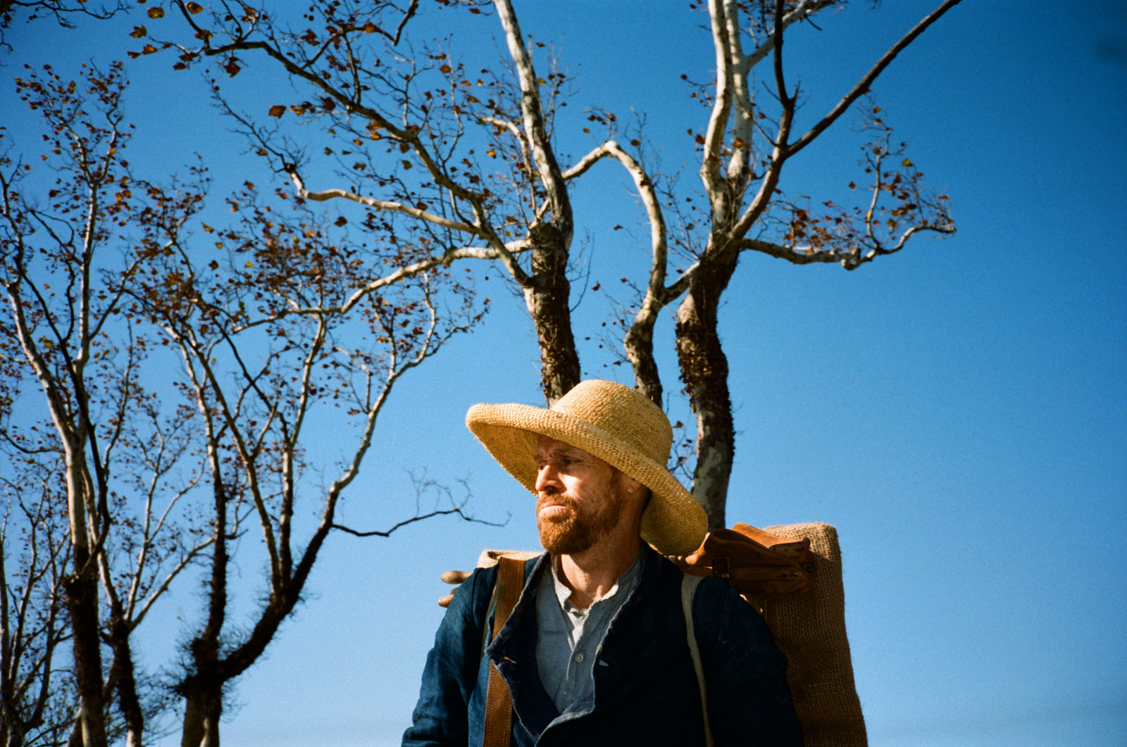 Van Gogh - An der Schwelle zur Ewigkeit (blu-ray)