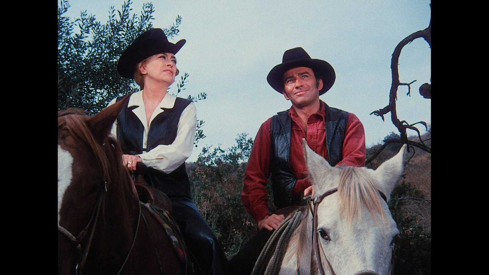 Leute von der Shiloh Ranch, Die - Staffel 8 (blu-ray)