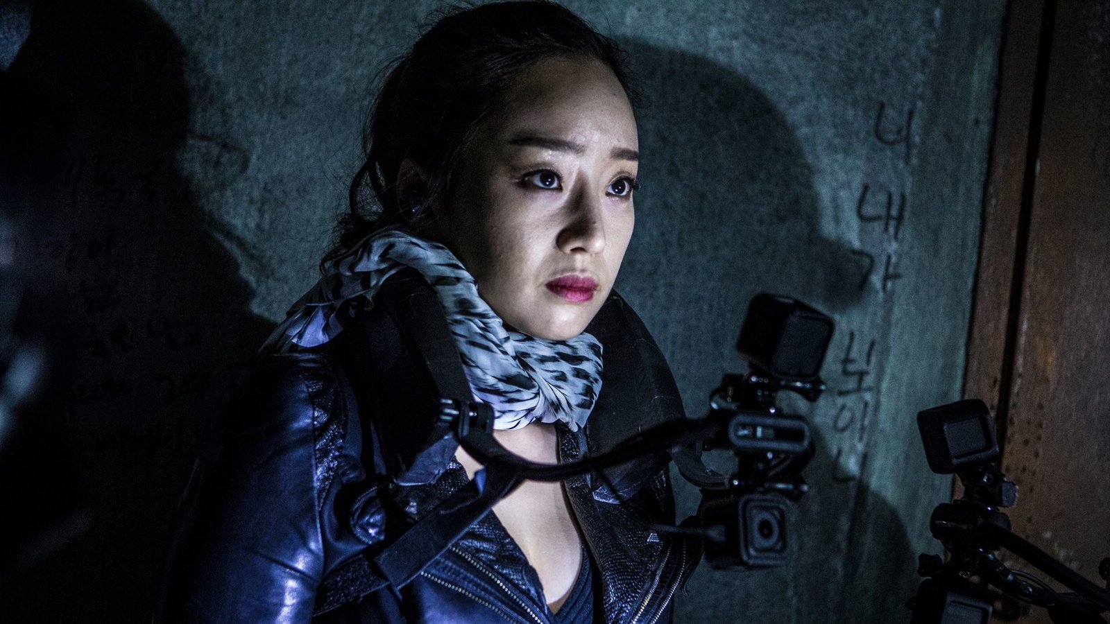 Gonjiam - Haunted Asylum  (DVD)