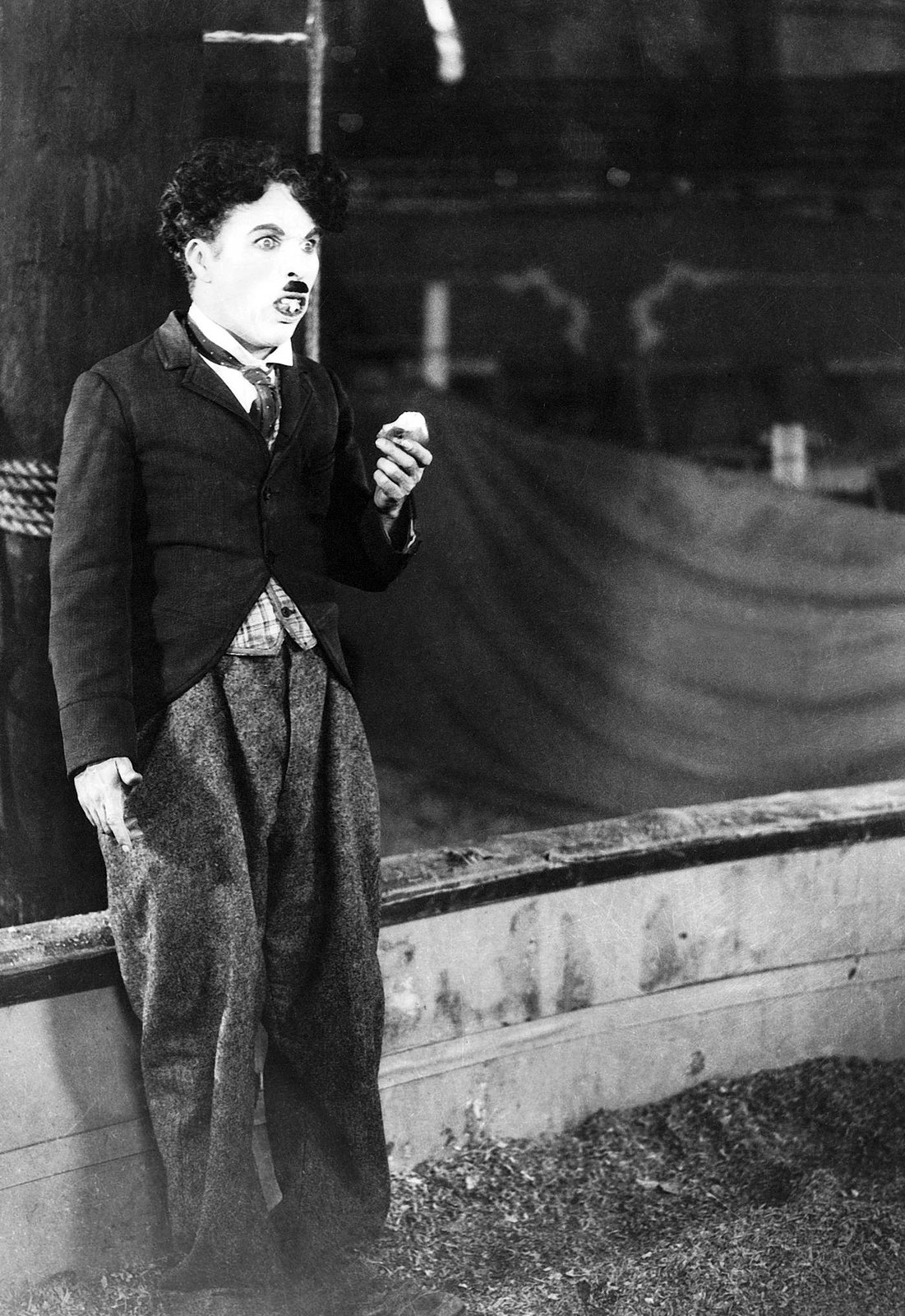 Charlie Chaplin - Der Zirkus  (DVD)