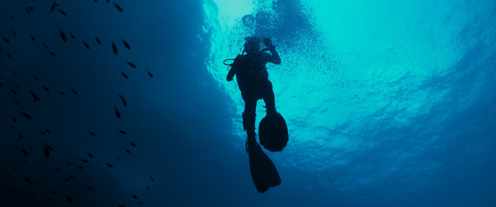 The Dive  (Blu-ray Disc)
