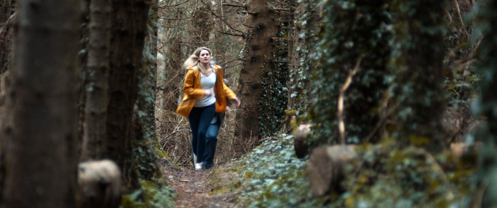 Bring Out The Fear (blu-ray)