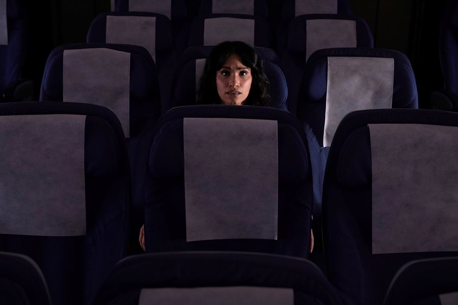In Flight - Never Fly Alone  (DVD)
