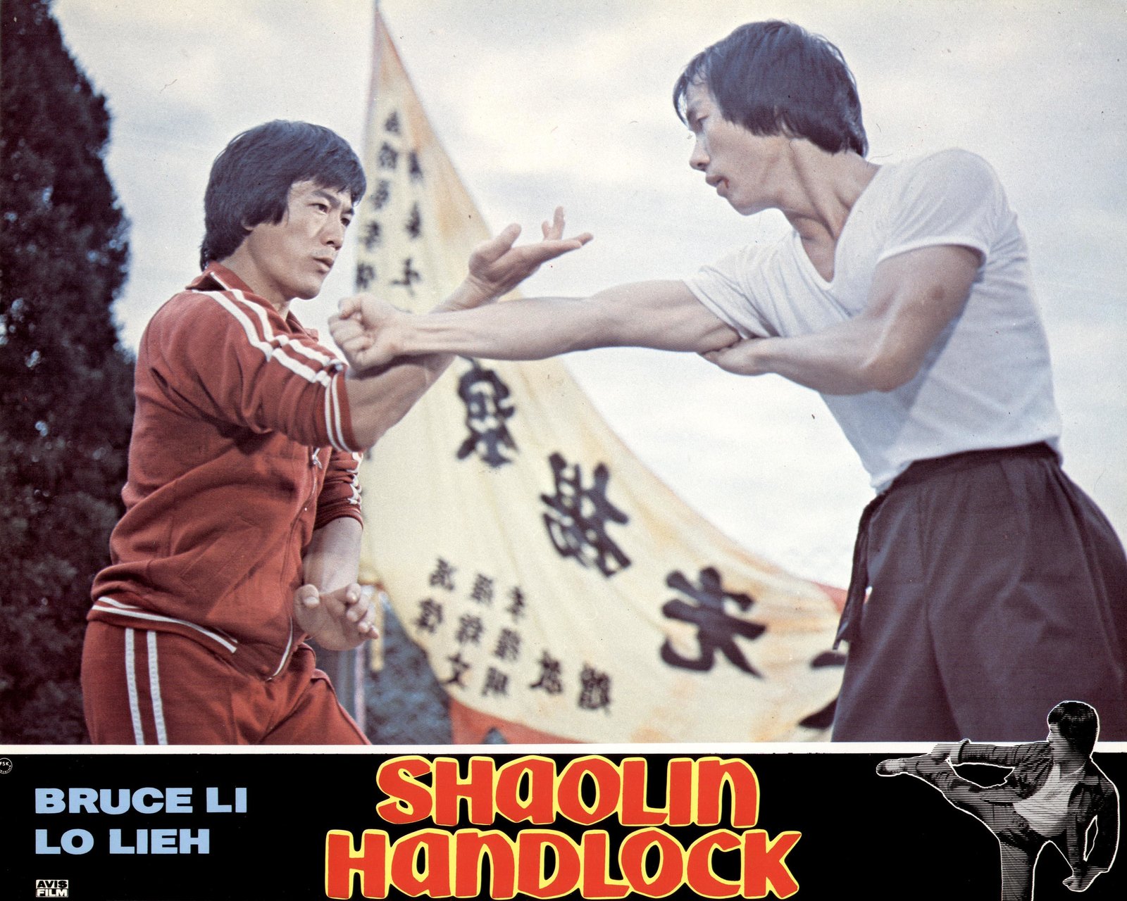 Shaolin Handlock - Asia Line Vol. 34