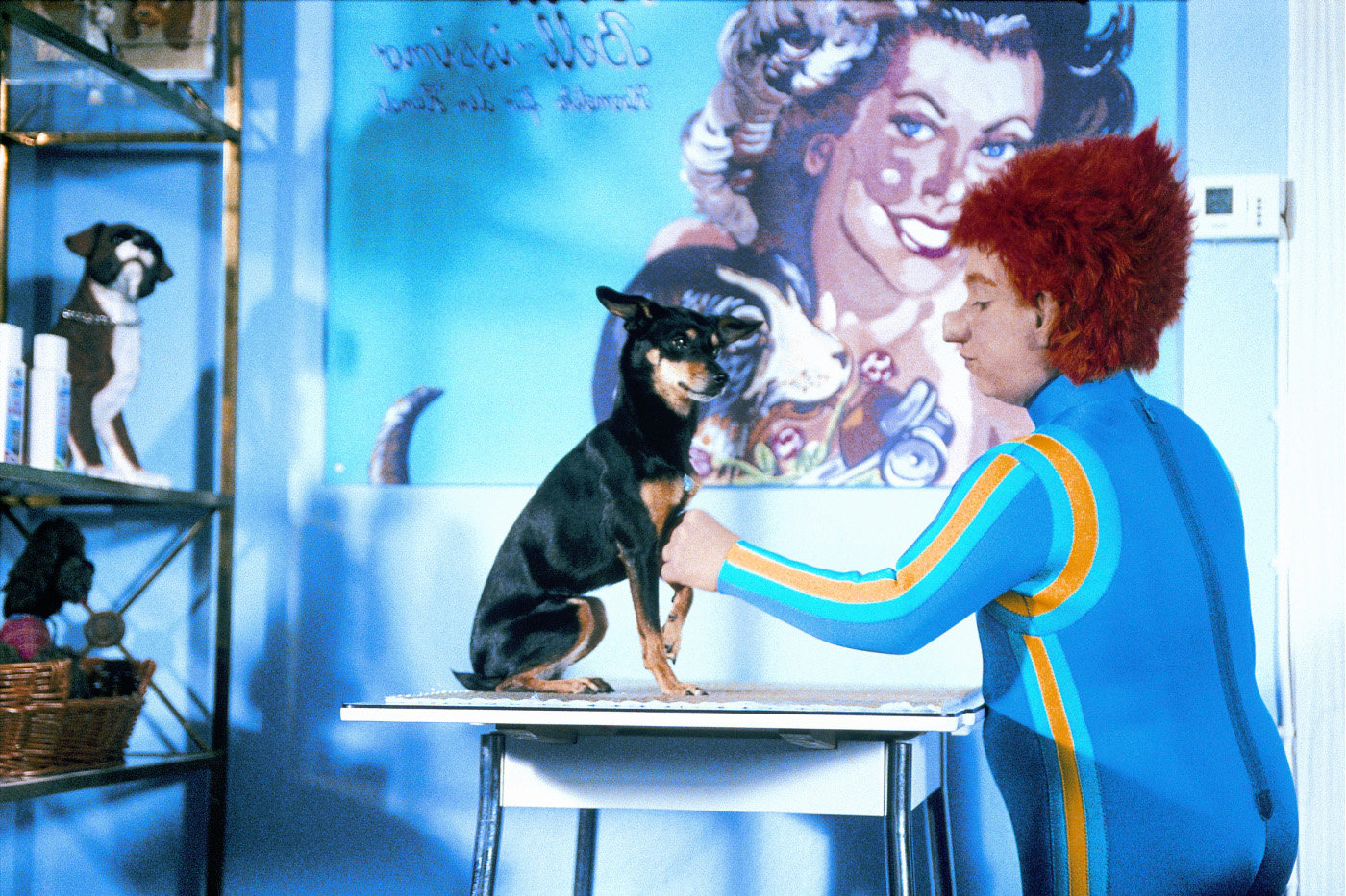 Sams in Gefahr  (DVD)