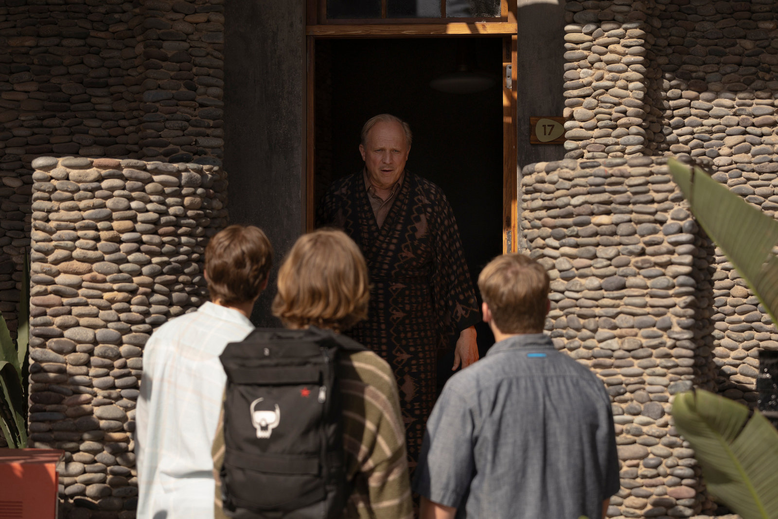 Die drei ??? und der Karpatenhund  (DVD)