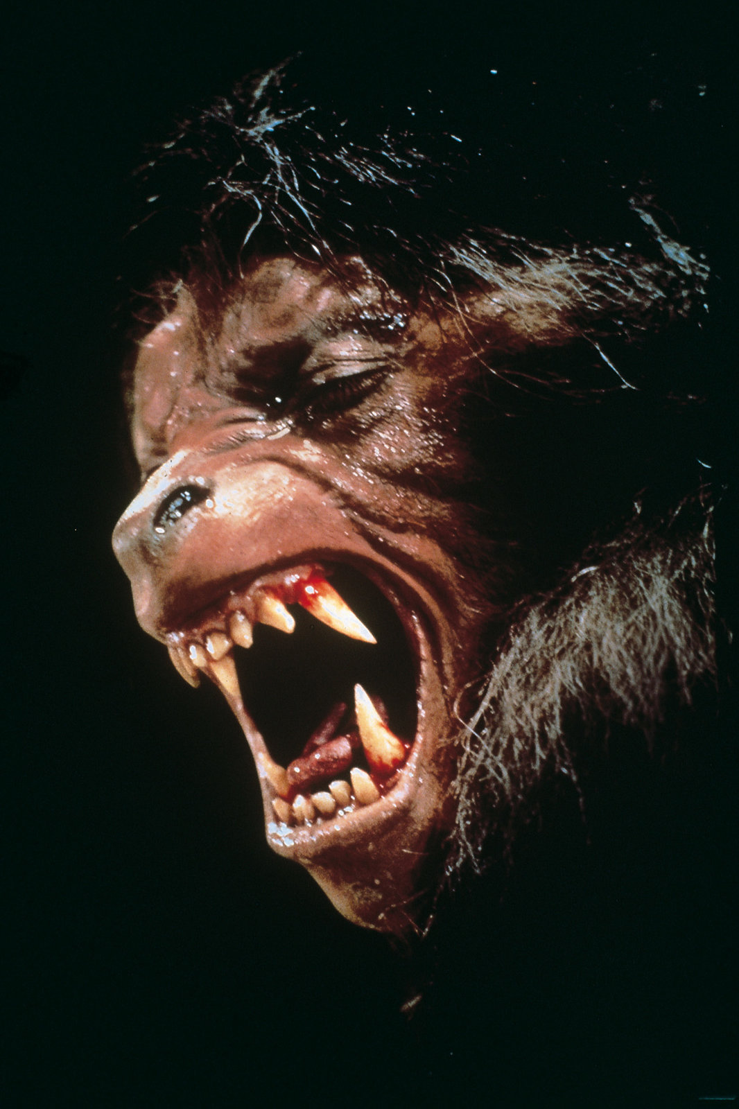 American Werewolf - Uncut Steelbook Edition  (4K Ultra HD+blu-ray)