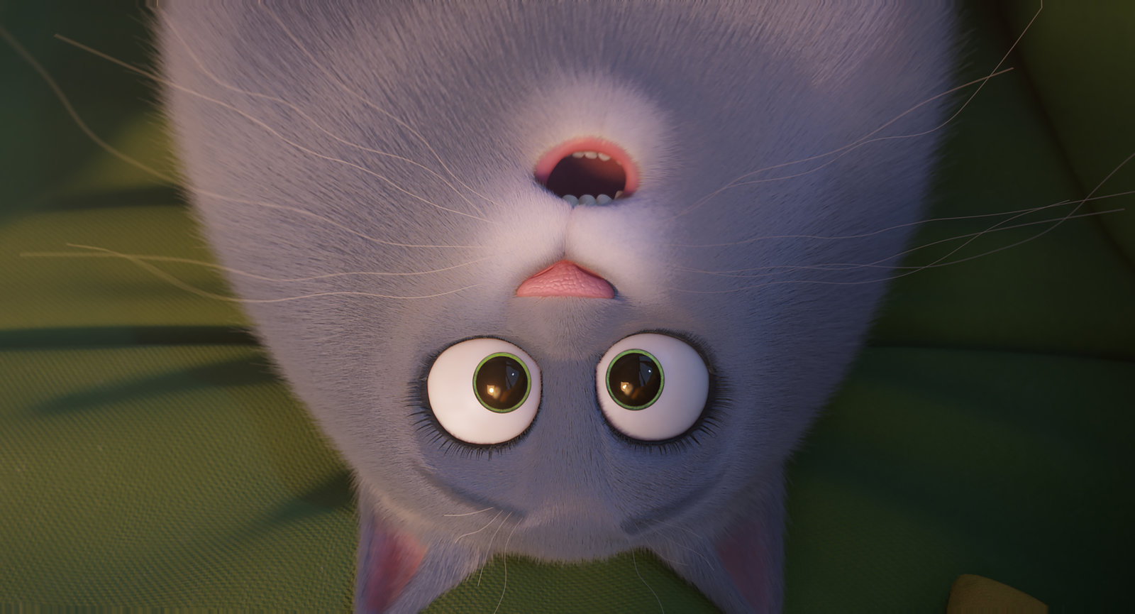 Pets 2