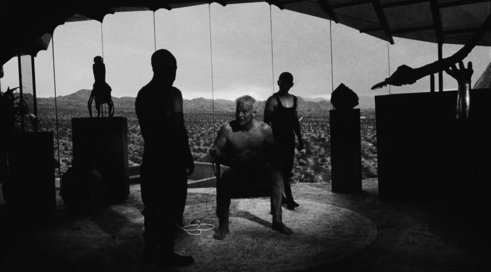 Divinity - Uncut Mediabook Edition  (DVD+blu-ray)