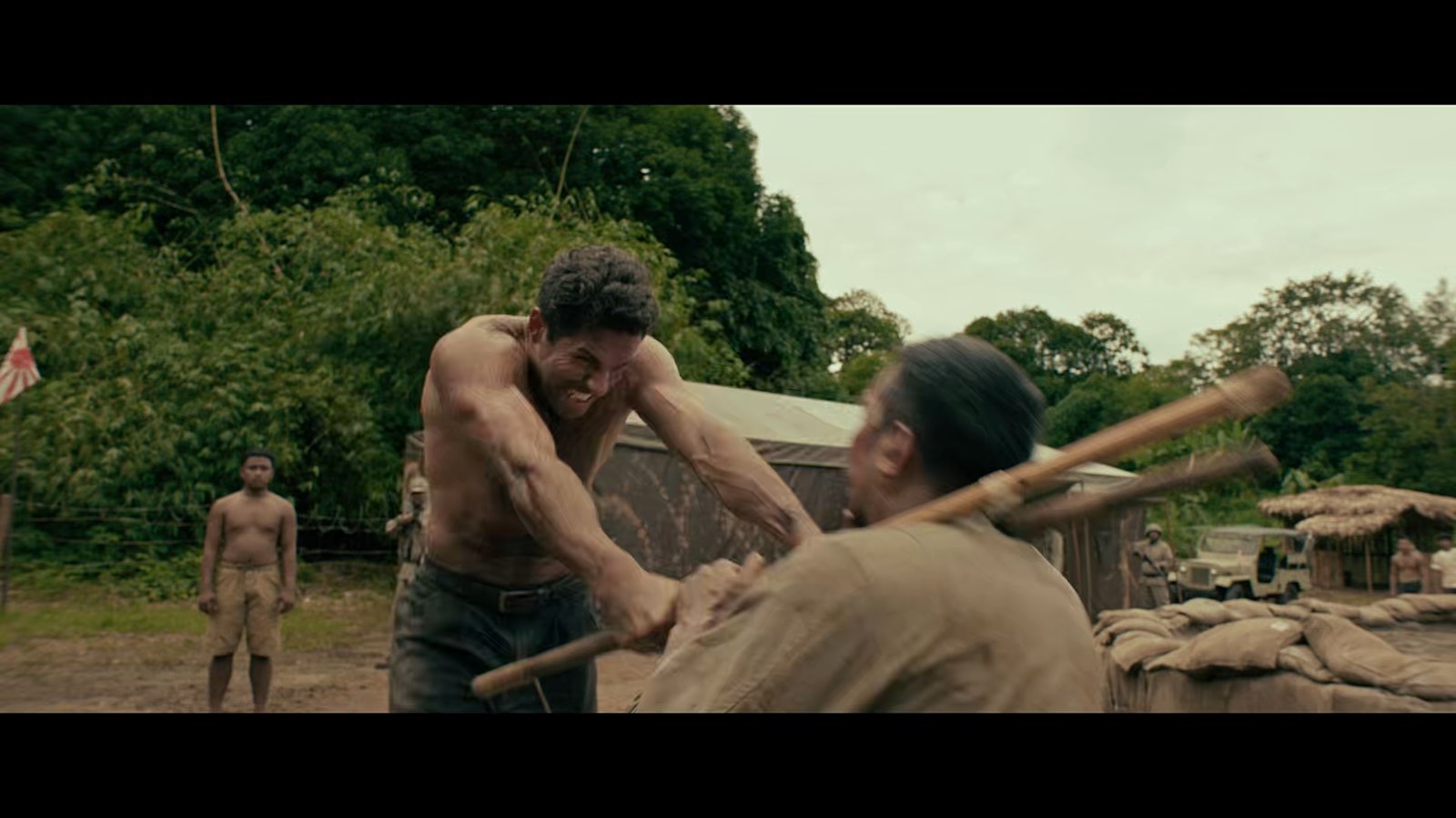 Prisoner of War  (DVD)