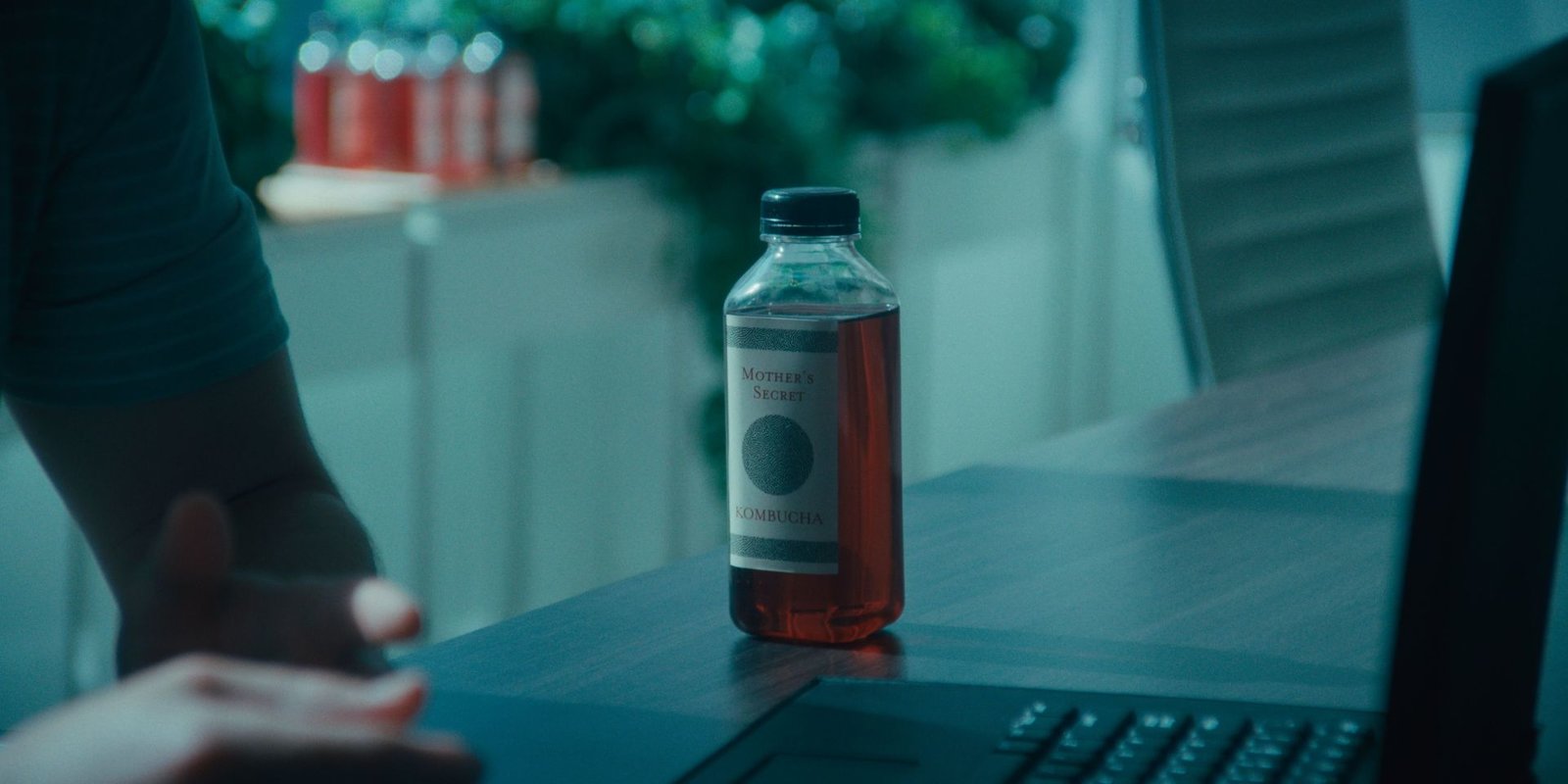 Kombucha - Die Zukunft beginnt hier  (DVD)