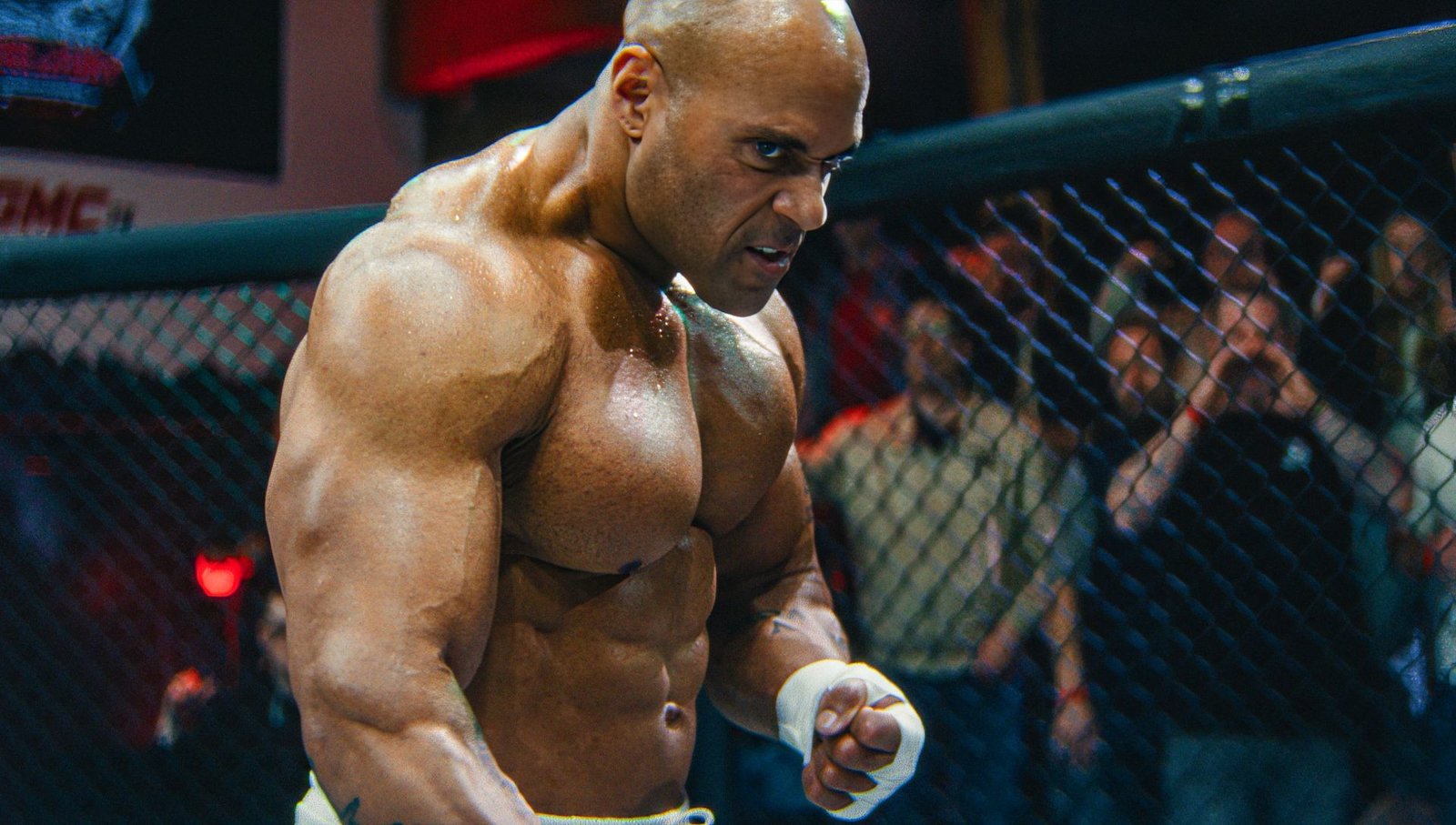 Lion Fist - Kampf der Champions  (DVD)