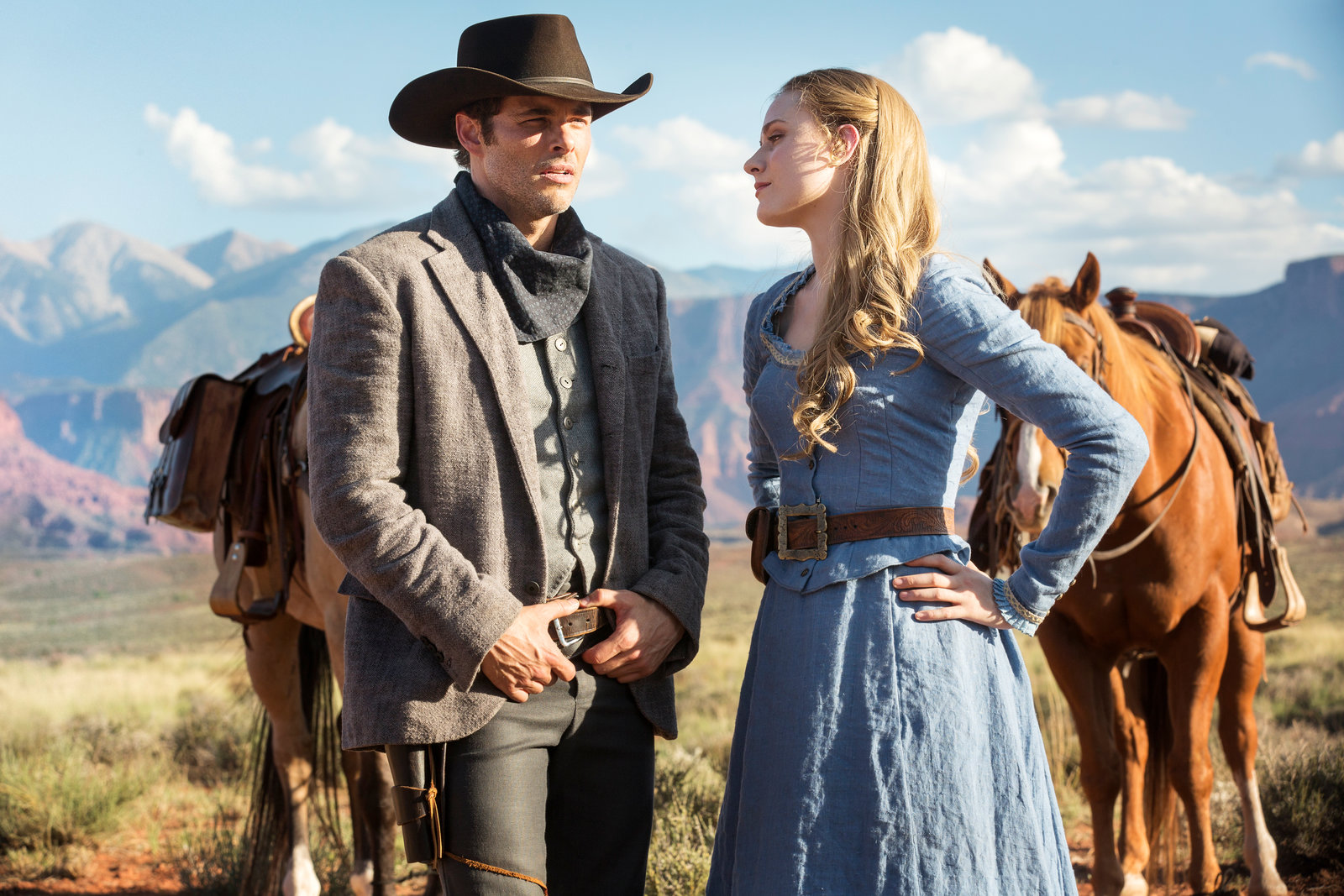 Westworld - Die komplette 1. Staffel  [3 DVDs]  (DVD)