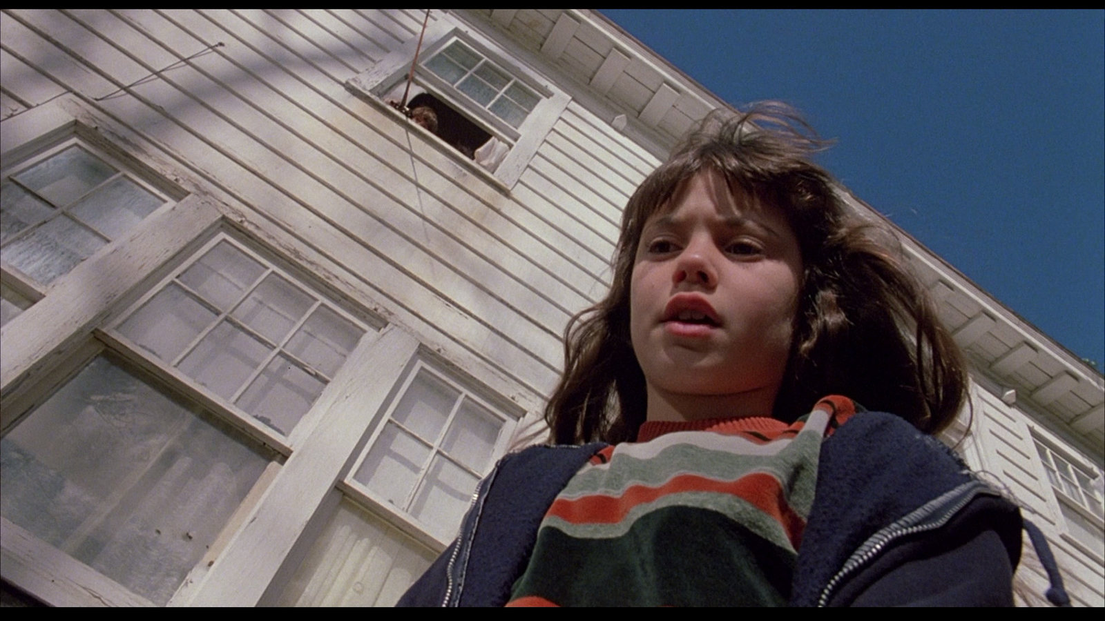 Amityville Horror (1979) - Limited Metalpak Edition  (blu-ray)