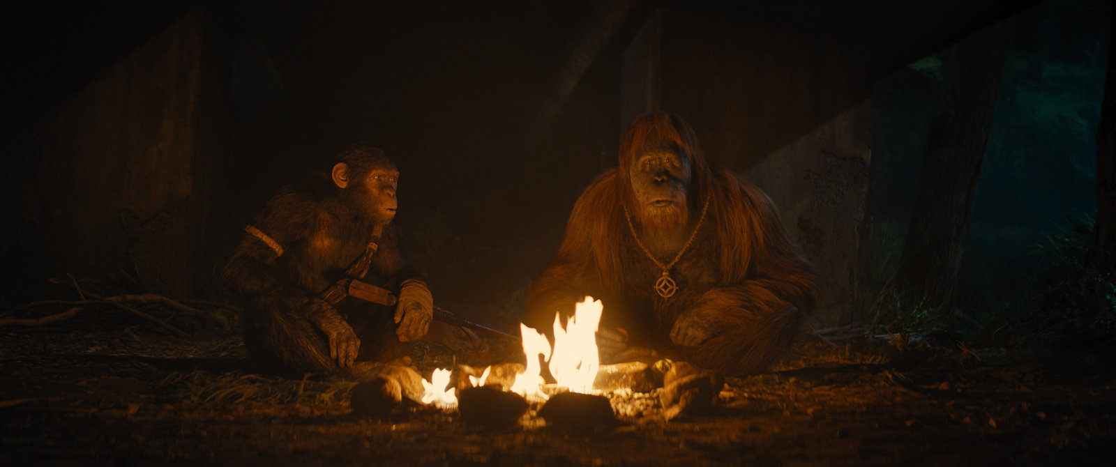 Planet der Affen - New Kingdom  (4K Ultra HD) (+ Blu-ray)  Planet der Affen - New Kingdom  (4K Ultra HD) (+ Blu-ray)