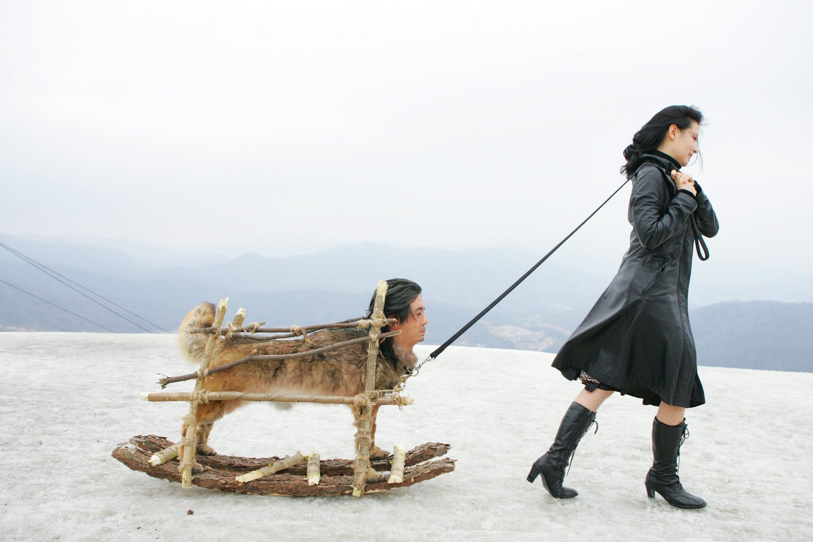 Lady Vengeance   (4K Ultra HD)