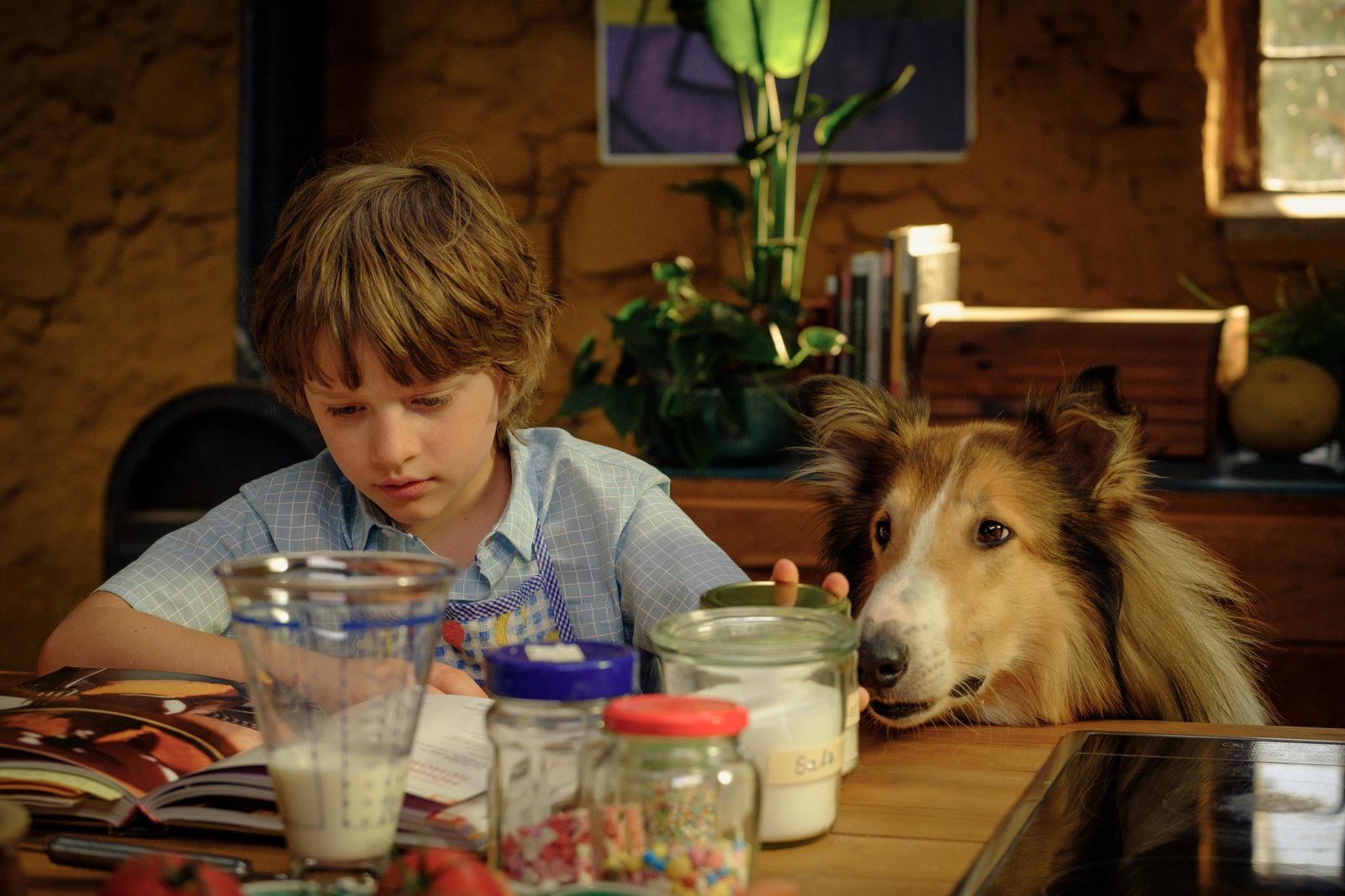 Lassie - Ein neues Abenteuer  (Blu-ray Disc)