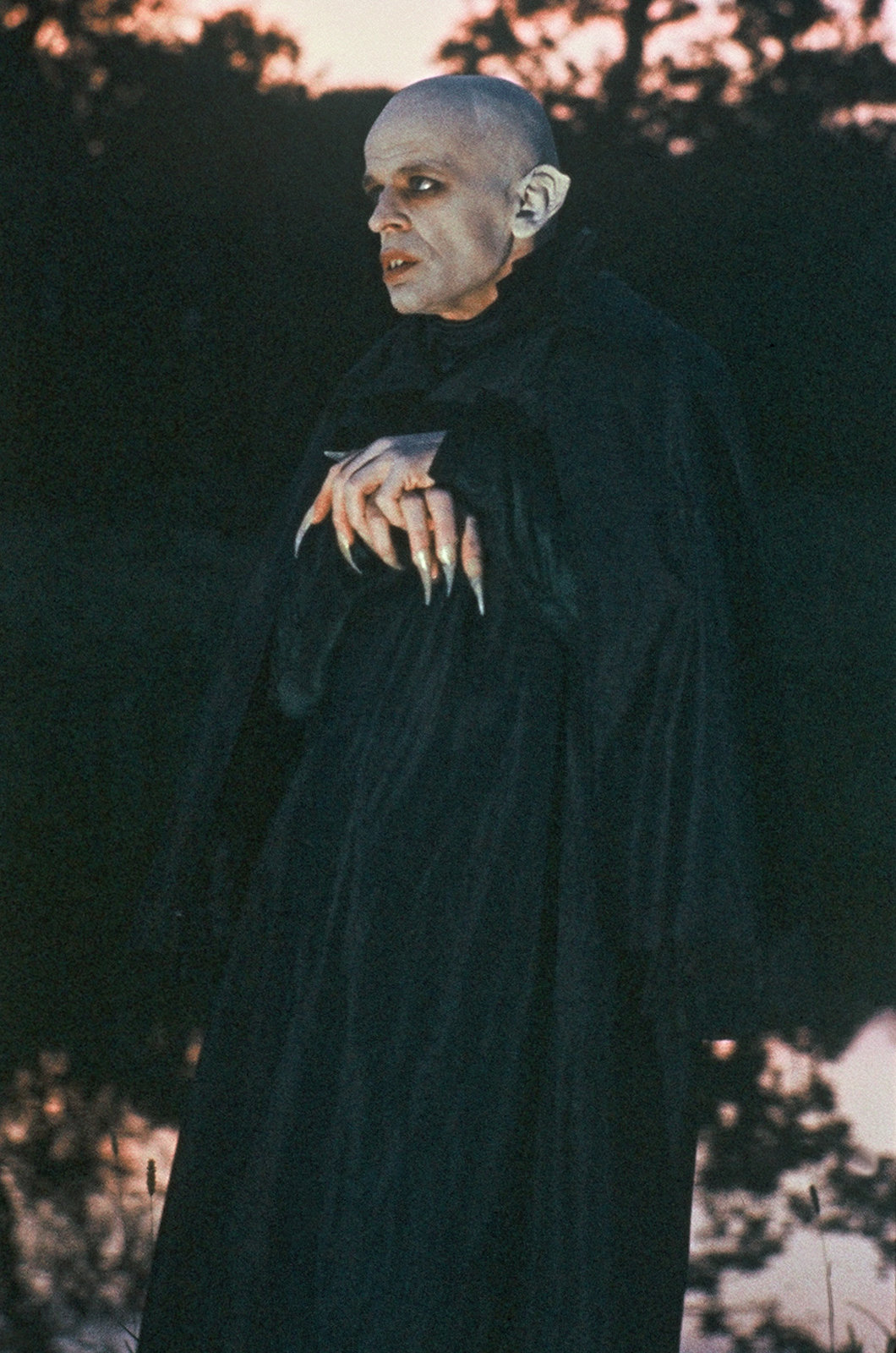 Nosferatu - Phantom der Nacht (blu-ray)