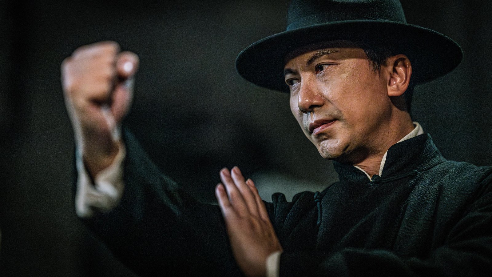 Ip Man: Kung Fu Legend  (DVD)