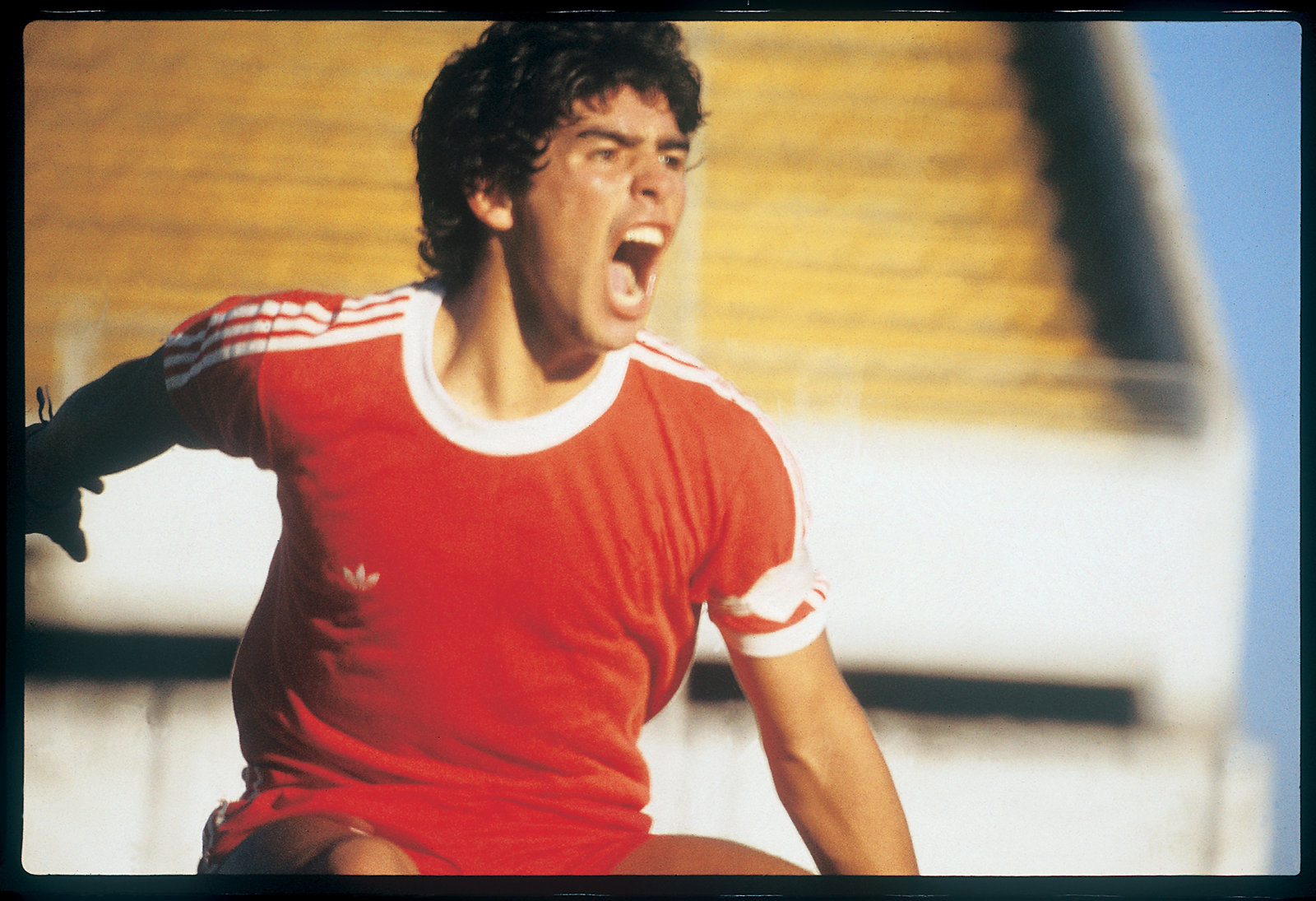 Diego Maradona  (DVD)
