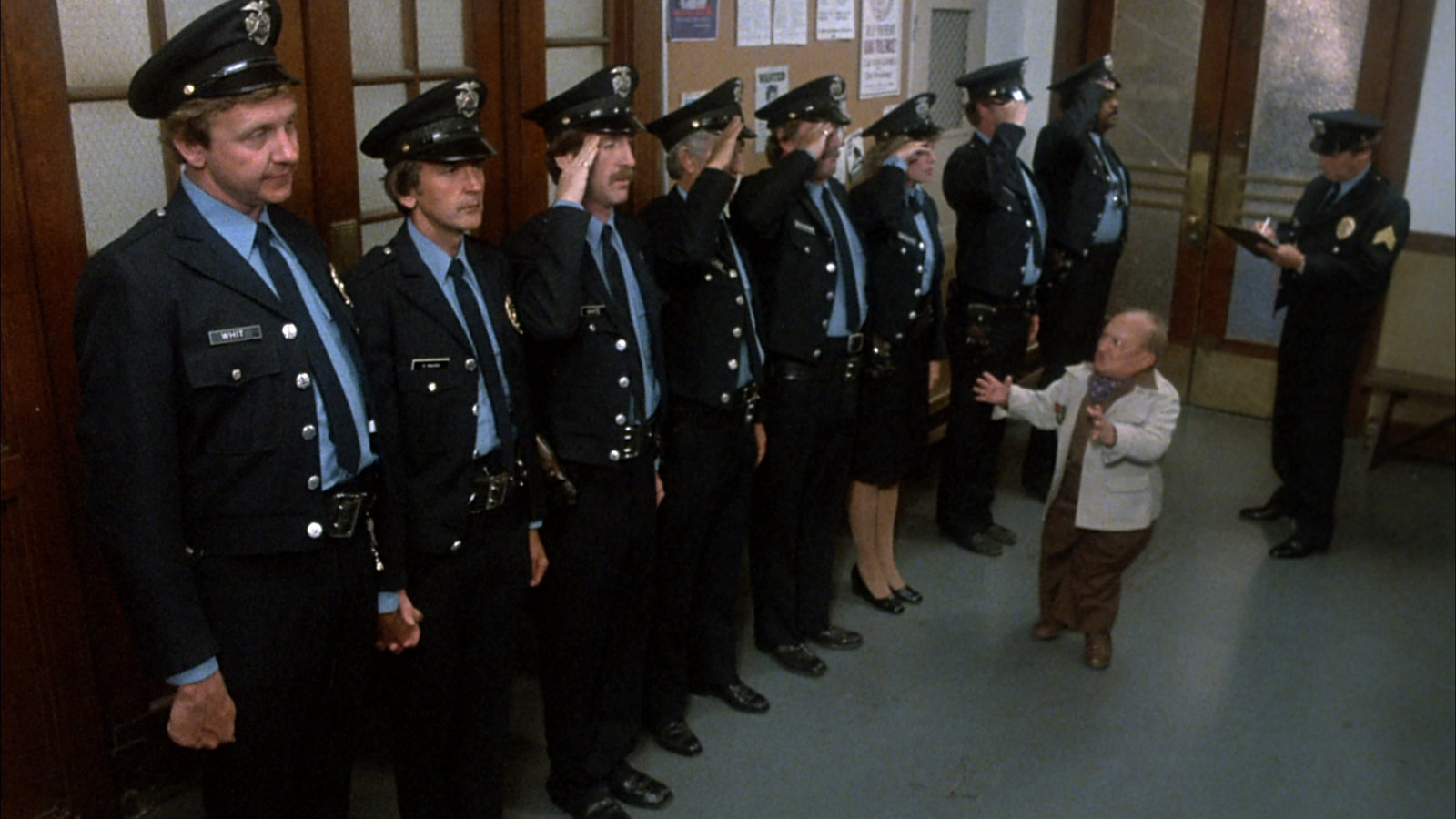 Police Patrol  (DVD)