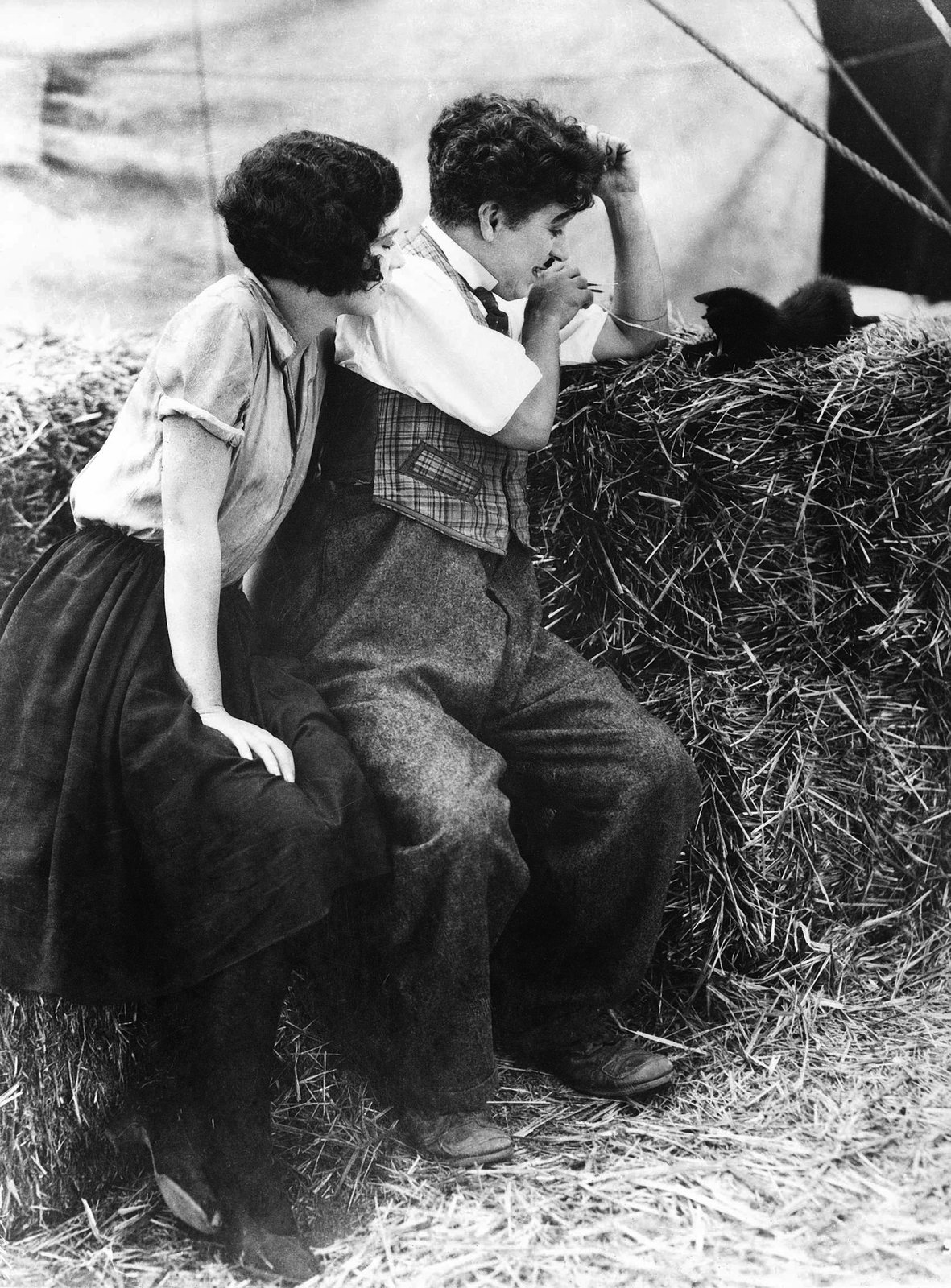 Charlie Chaplin - Der Zirkus  (DVD)
