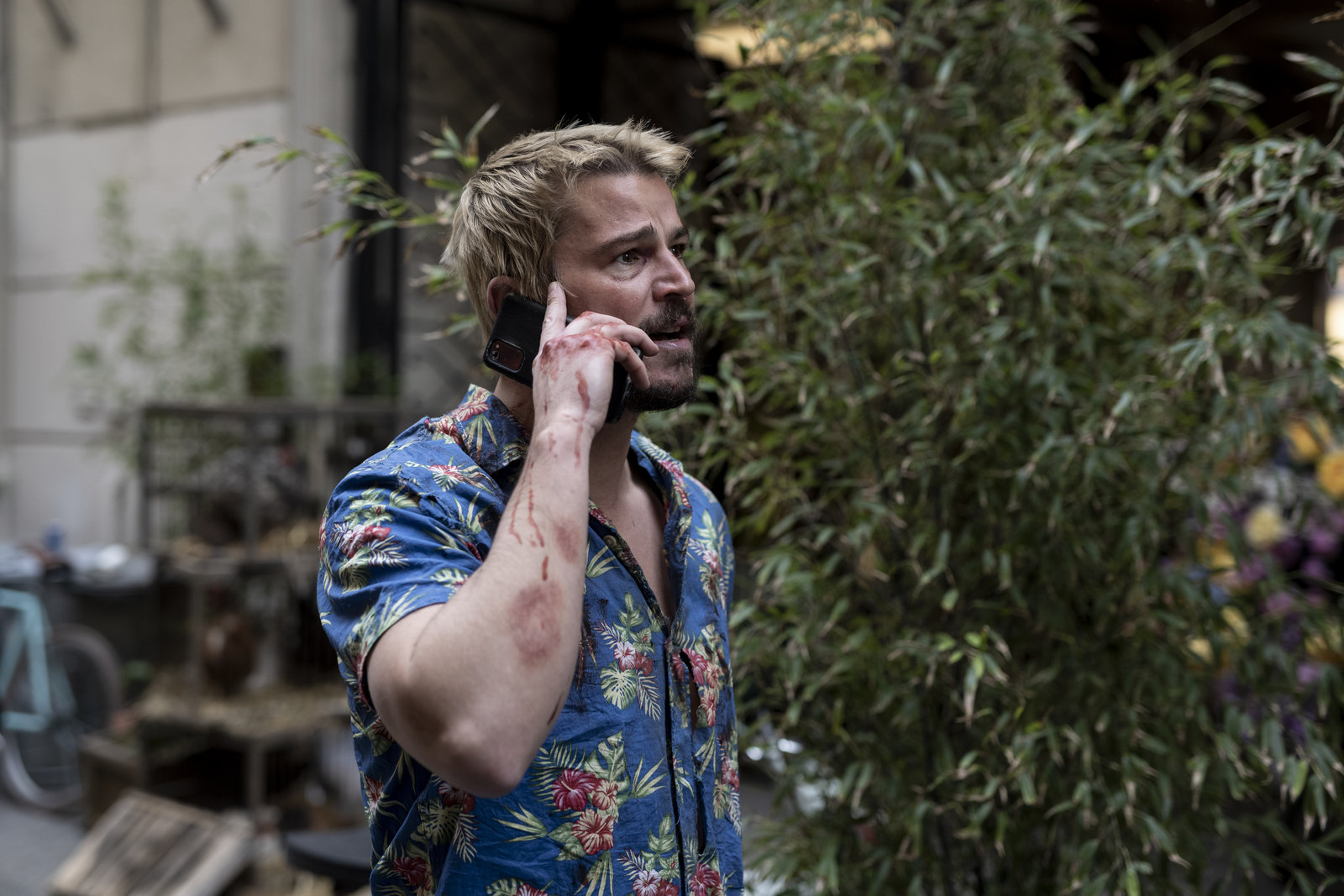 Fight or Flight  (DVD)