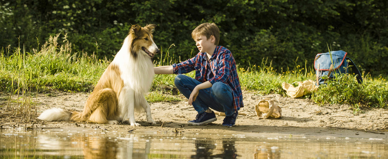 Lassie - Eine abenteuerliche Reise (blu-ray)