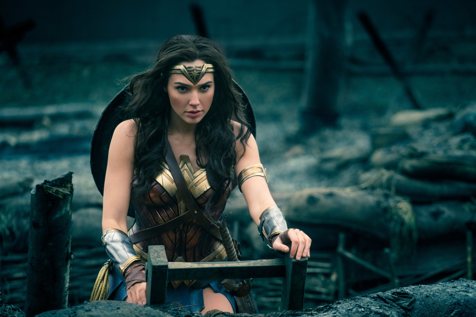 Wonder Woman  (DVD)