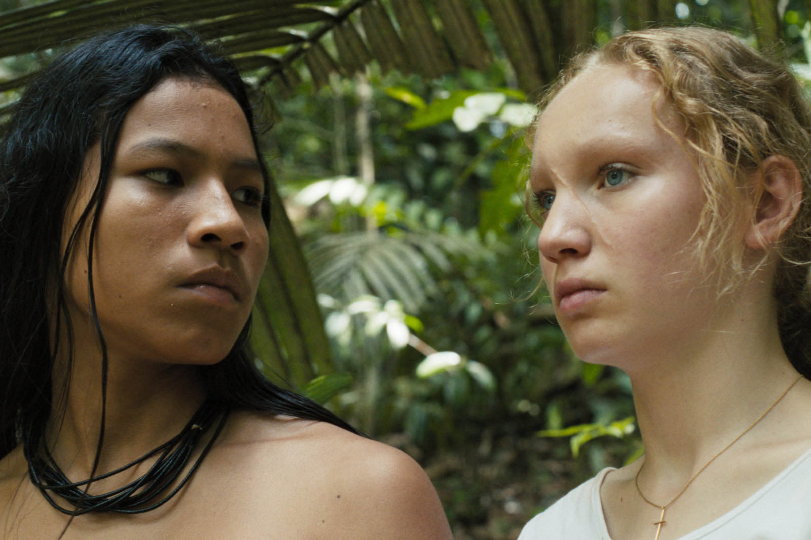 Transamazonia  (DVD)