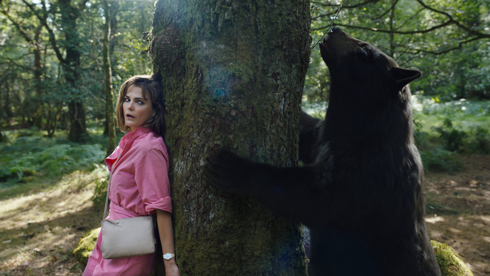 Cocaine Bear - Uncut Mediabook Edition  (4K Ultra HD+blu-ray) (B)