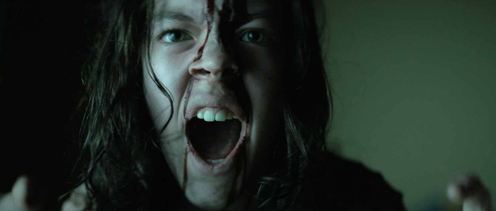 Reversion  - Traue niemandem!  (DVD)