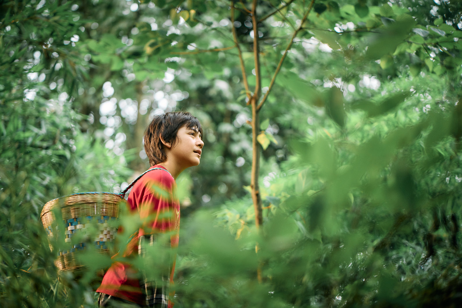 Moon - Der Panda  (DVD) Moon - Der Panda  (DVD)