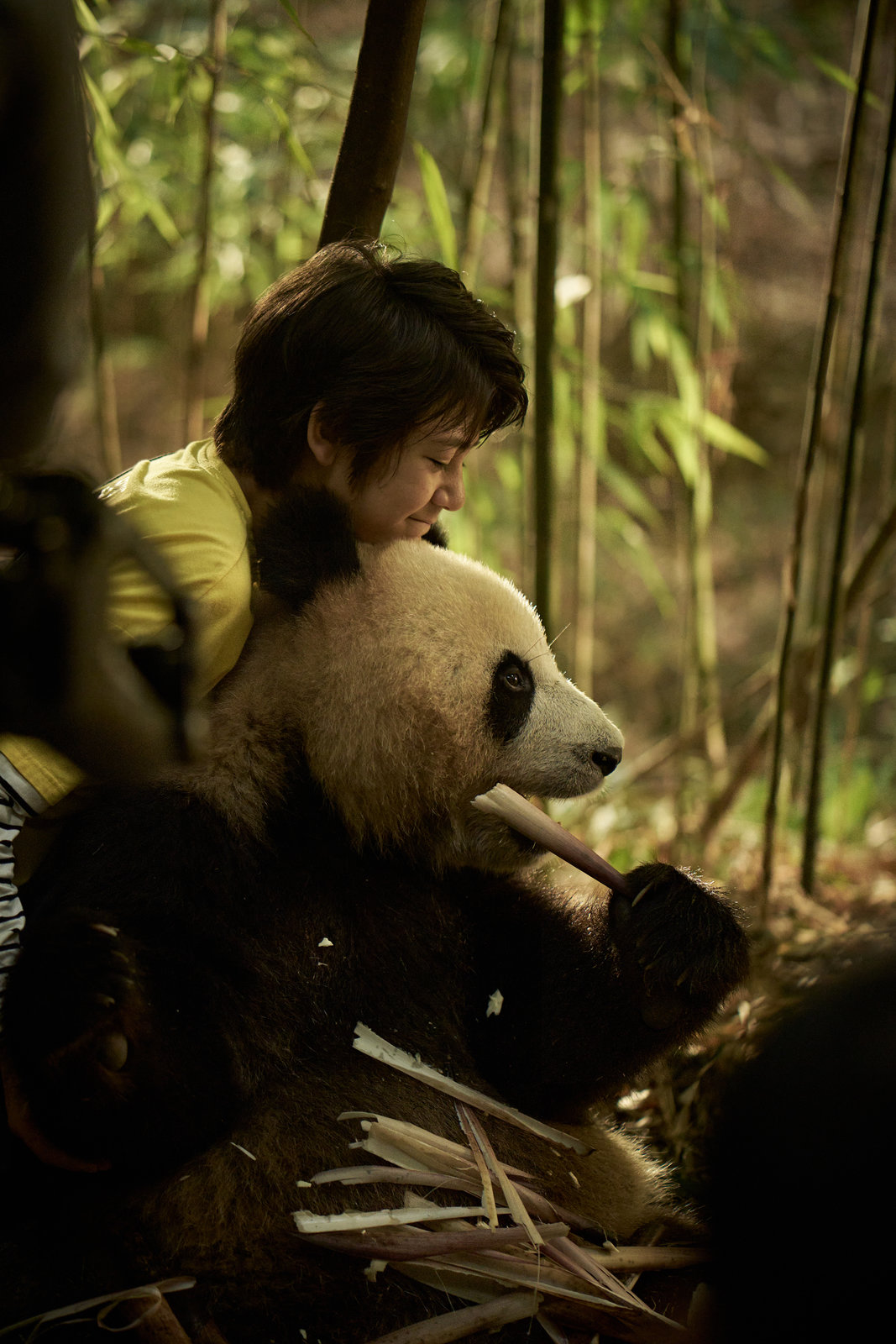 Moon - Der Panda  (DVD)